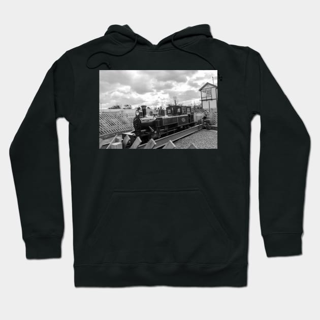 Small steam train on the Bure Valley Railway Hoodie by yackers1